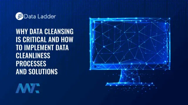 Data Cleansing: How to Cleanse Your Data