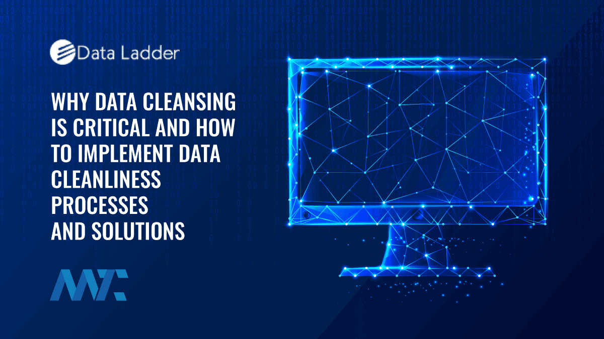 Data Cleansing: How to Cleanse Your Data