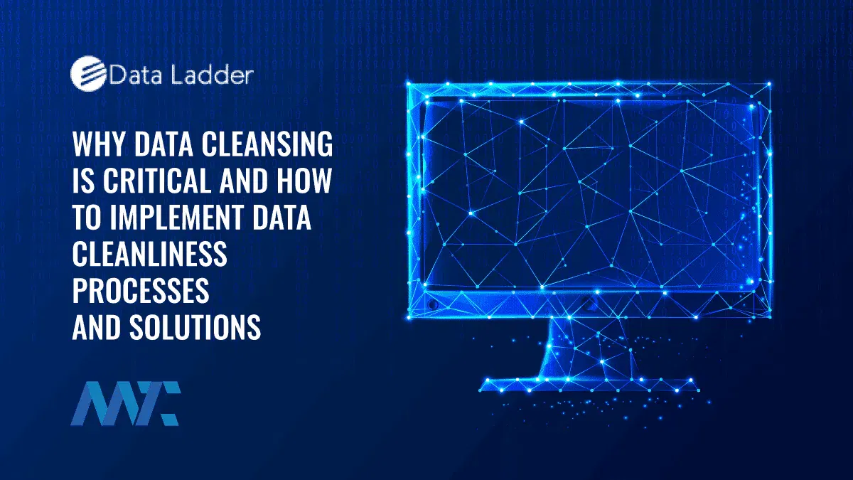 Data Cleansing: How to Cleanse Your Data