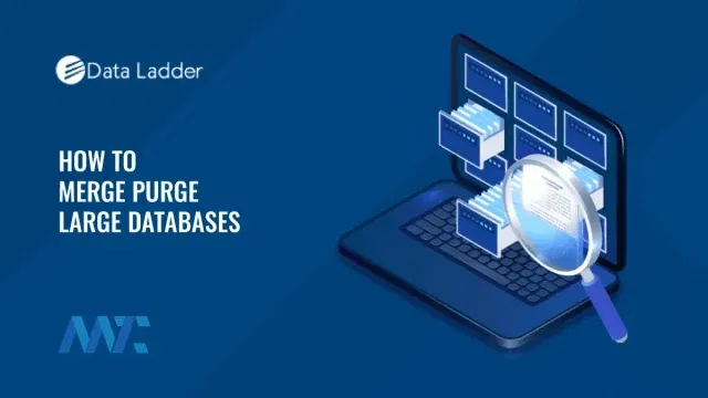 What is a Merge Purge and How to Perform One