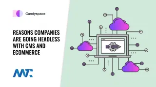 Headless CMS and Ecommerce Reasons