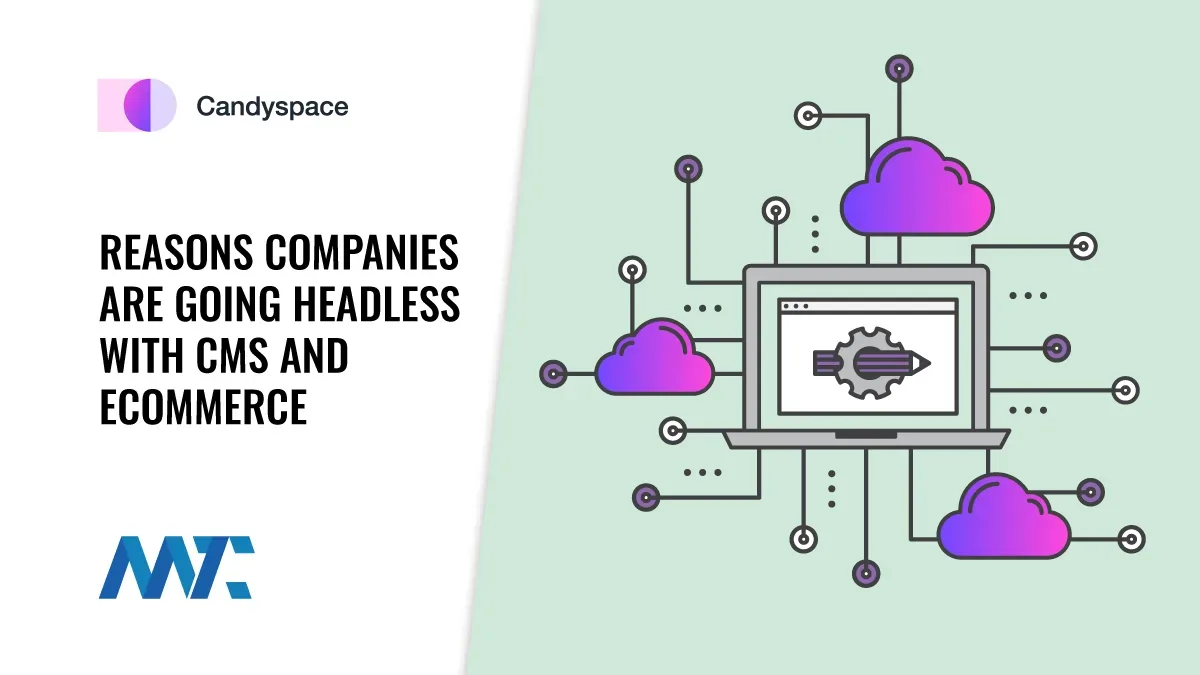 Headless CMS and Ecommerce Reasons