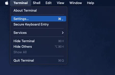 terminal-settings