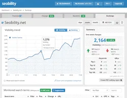 seobility-domain-overview