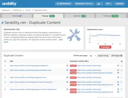 seobility-duplicate-content