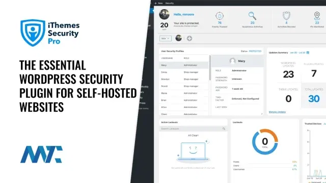 WordPress Security Plugin from iThemes Security Pro