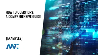 How to Query DNS using dig from Terminal or the Command Line