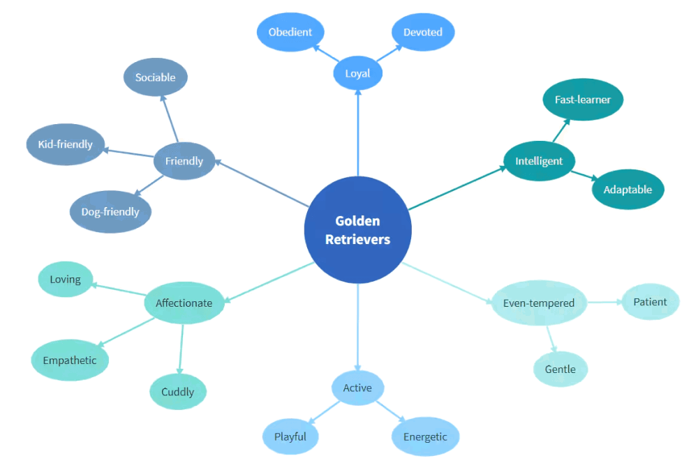 MindManager: Mind Mapping and Collaboration for the Enterprise 2 Bubble Map