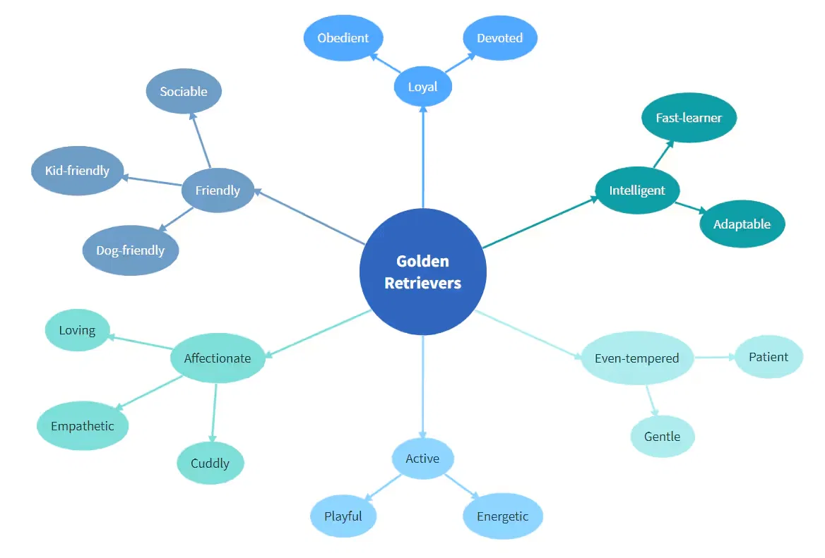 bubble-map