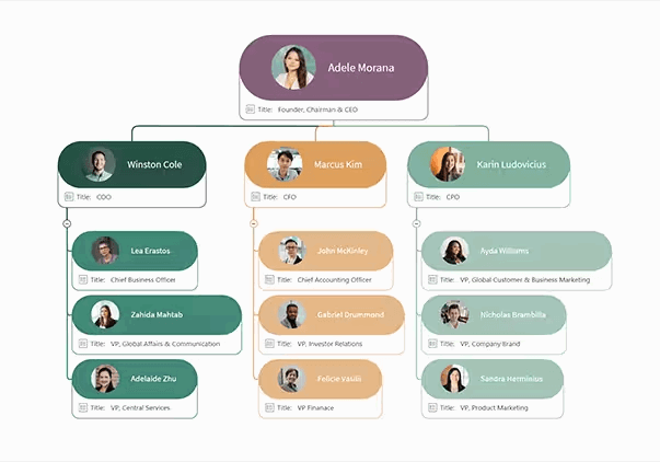 MindManager: Mind Mapping and Collaboration for the Enterprise 8 Functional Chart Mindmap