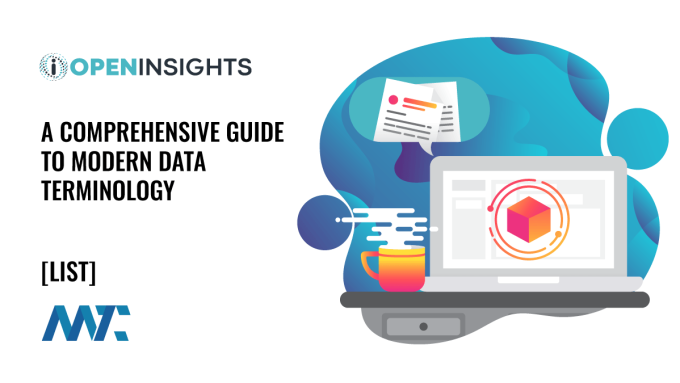 Data Industry Terminology