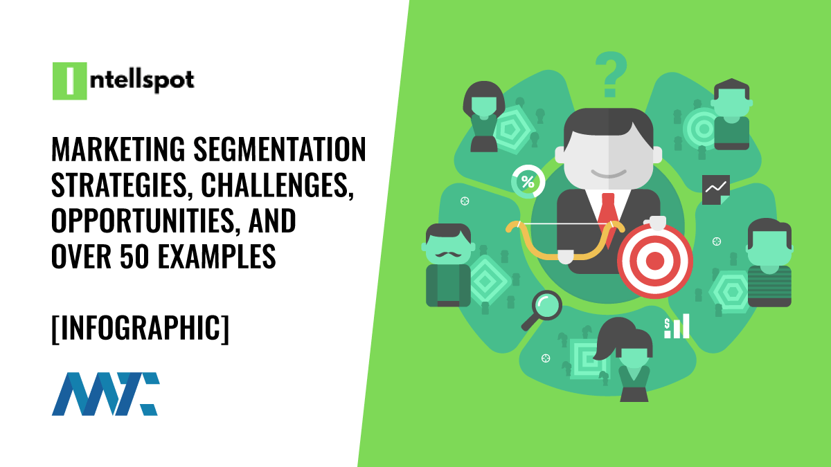 Marketing Segmentation Strategies, Challenges, Opportunities, and Over 60 Examples 1 Marketing Segmentation Examples, Challenges, Opportunities and Strategies