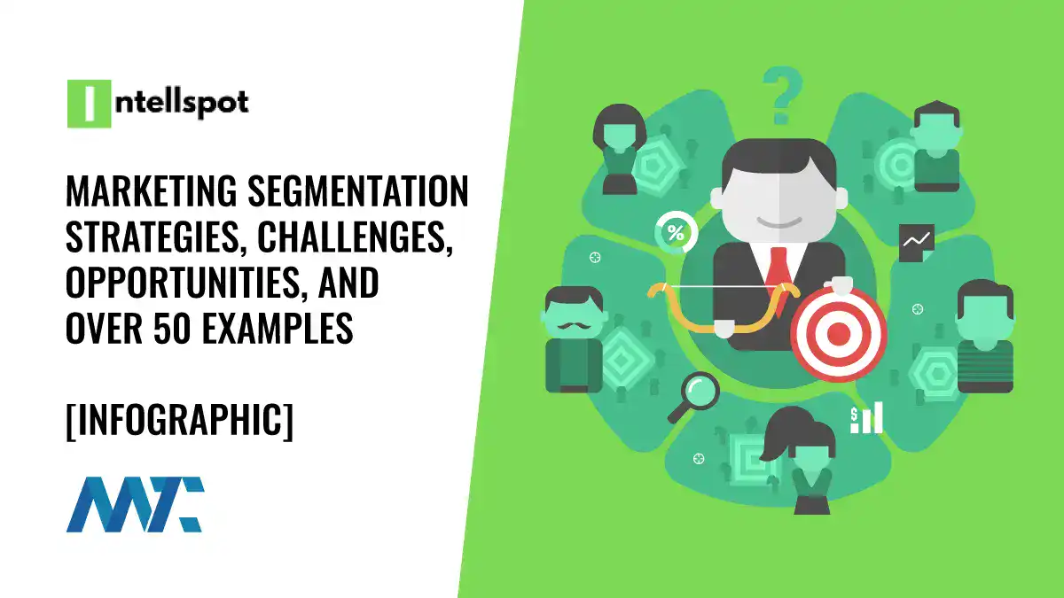 marketing segmentation examples challenges opportunities