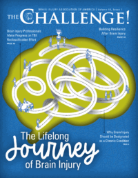 The Challenge! Magazine from BIAA