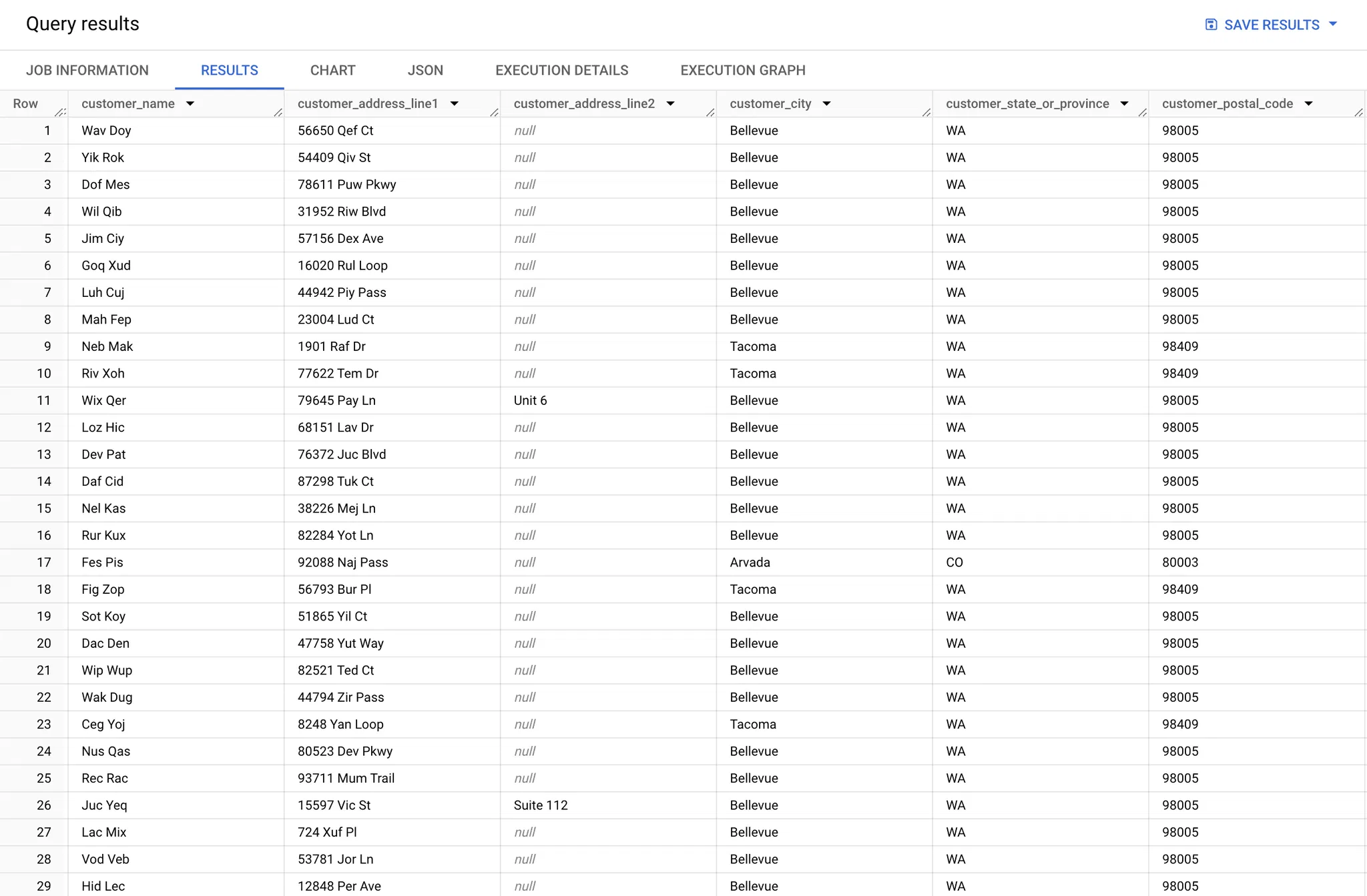 fake-pii-data-big-query