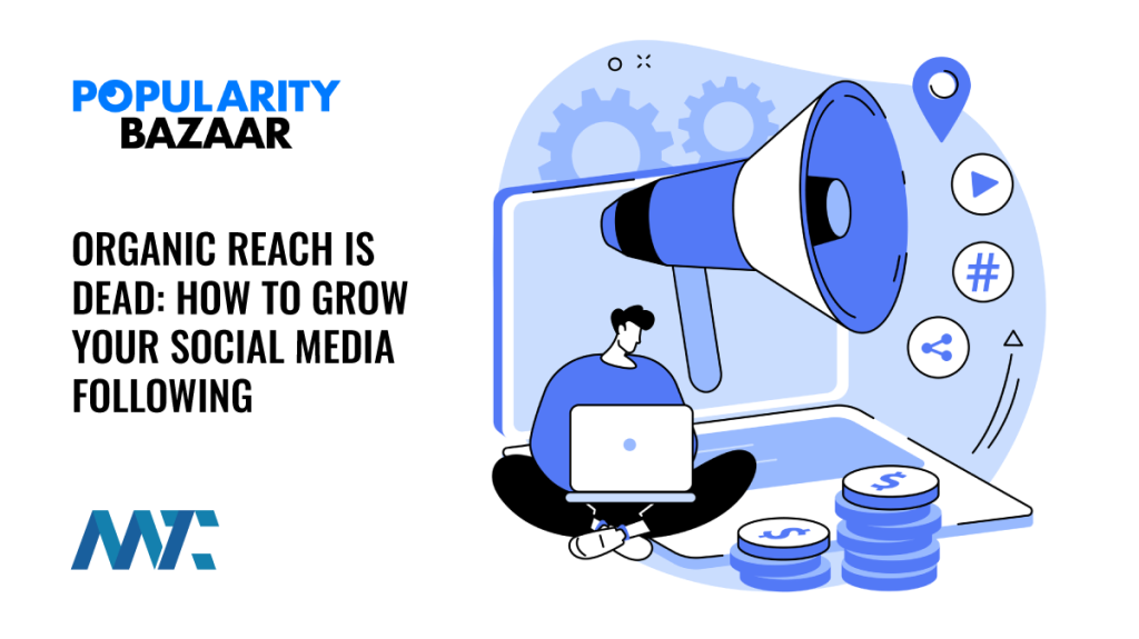 Paid Social Media Following and Promotion