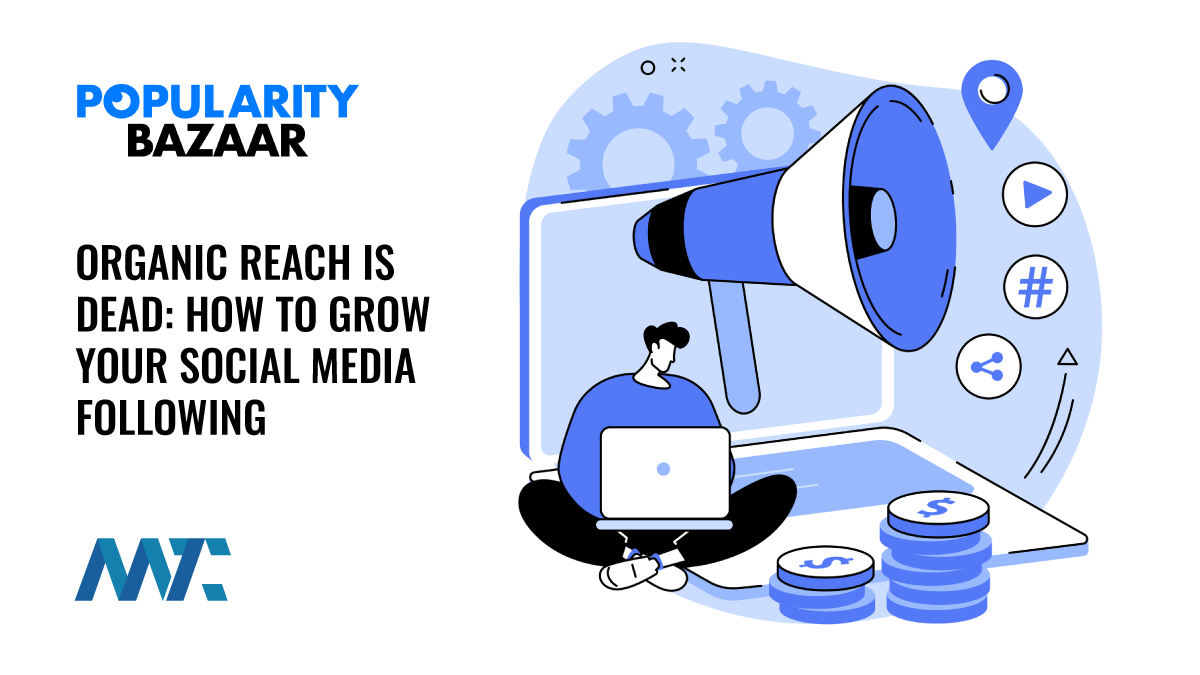Paid Social Media Following and Promotion