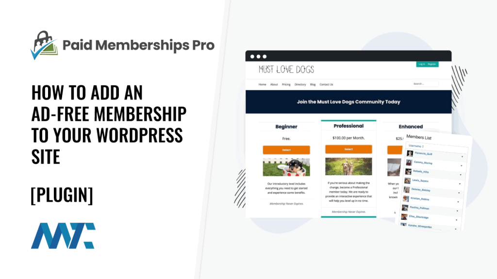 Paid Memberships Pro: How to Add an Ad-Free Membership To Your WordPress Site
