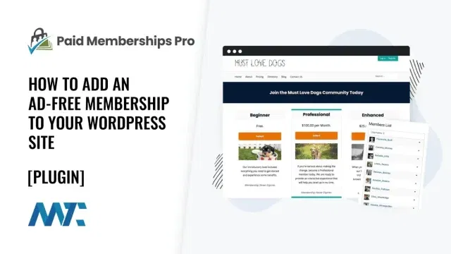 Paid Memberships Pro: How to Add an Ad-Free Membership To Your WordPress Site